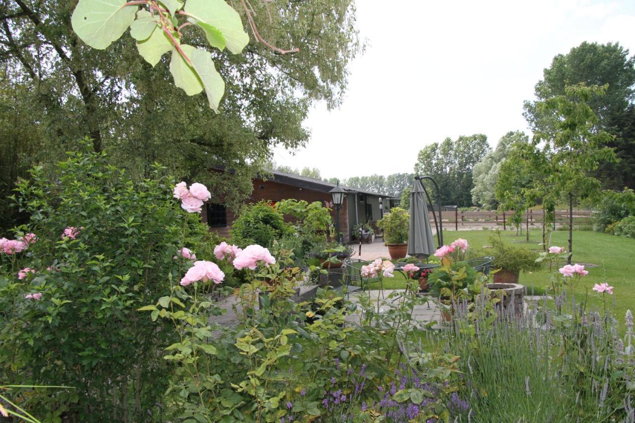 B&B De Rekkendonken Liempde Bagian luar foto